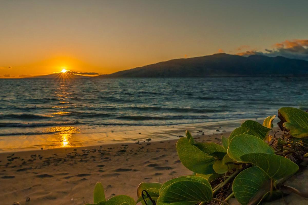 Apartament Maui Sunset B-115 Kihei Zewnętrze zdjęcie